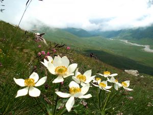 Река Харес