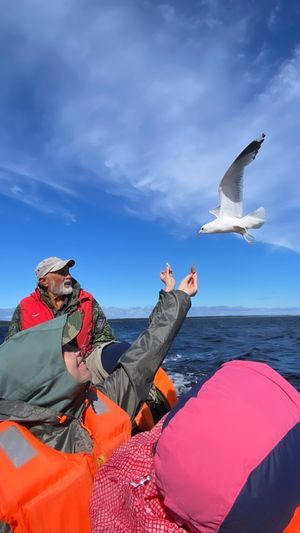 Долгая губа с дегустацией мидий