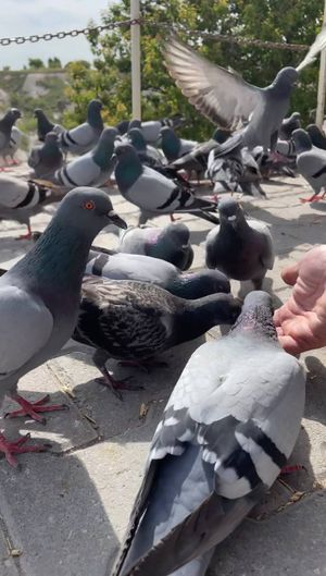 Знакомство с Каппадокией