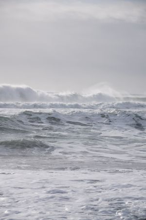 Тихий Океан