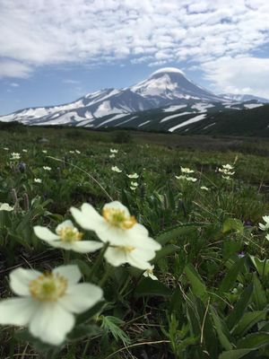 Рыбный рынок. Вылет