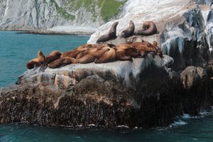 Морская прогулка в бухту Русская
