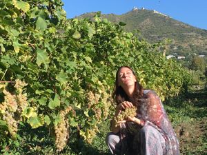 Едем в самый винный регион Грузии-в Кахетию