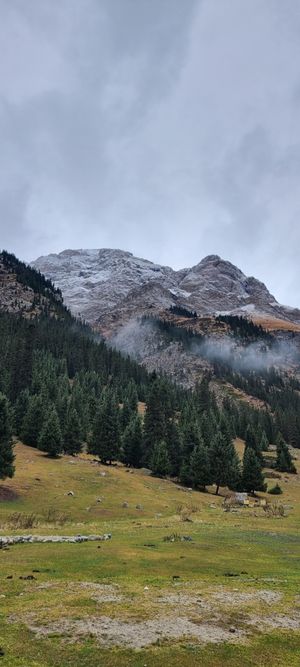 Заснеженные ущелья