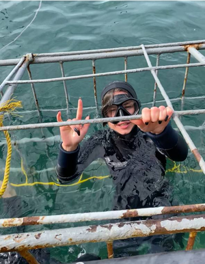 Вау - Акулы, Киты и Европейский город