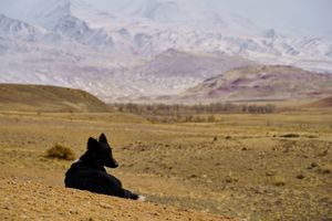 Алтайский Марс, возвращение в Манжерок / Соузга