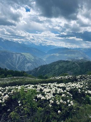 Отдых. Трек к качелям в облаках