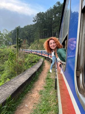 Чайные плантации и поездка на поезде