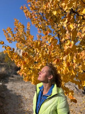 Голубиная долина