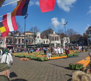 Дордрехт, Горинхем, Де Бизбосх