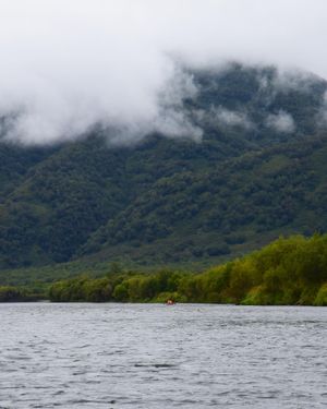 Сплав по реке Быстрой