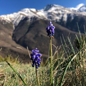 Горы Северной Осетии: 5 дней наслаждения и лучшие достопримечательности