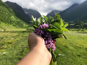 Горы Северной Осетии: 5 дней наслаждения и лучшие достопримечательности