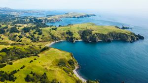 Бухта Снежкова