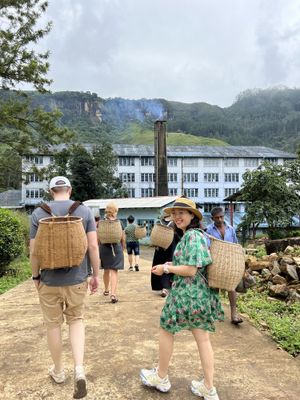 ПУТЕШЕСТВИЕ В АНГЛИЮ