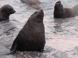 Камчатская зима