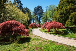 Инста красоты: Ботанический сад и крепость Петра