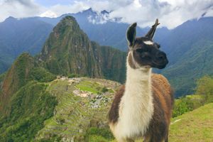 Мачу Пикчу
