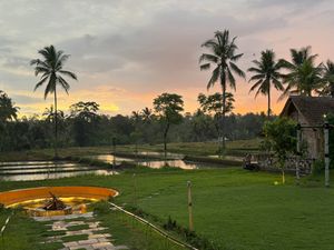 Восточная Ява