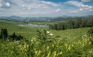 Этноаил, моторафтинг по Катуни