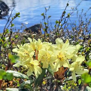 Озеро Светлое