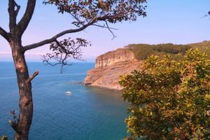 Отъезд домой