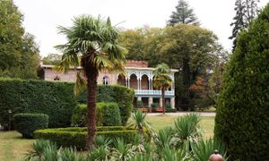 Едем в самый винный регион Грузии-в Кахетию