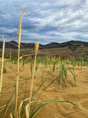 Аэропорт. Бархан Сарыкум