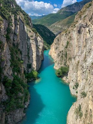 Бархан Сарыкум - Сулакский каньон, Дубки форелев