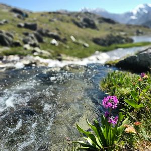 Кучерлинское Озеро 14 км