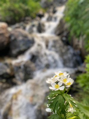 Суфруджинский водопад/Чёртова Мельница