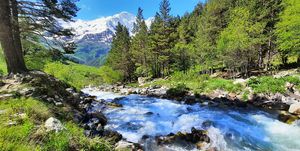 Ущелье Кулумкол, Живое озеро