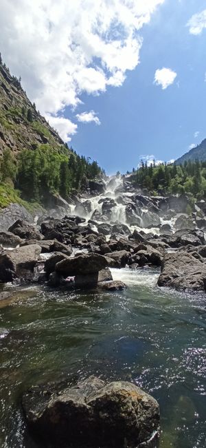 Величественный Учар