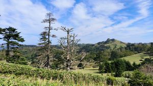 Бухта Снежкова