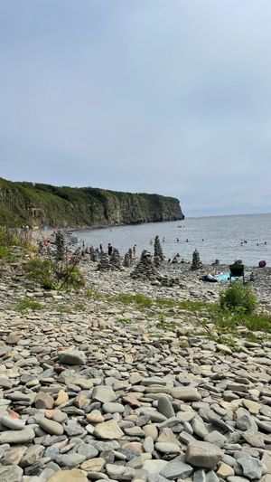 Остров Русский: Мыс Вятлина, Океанариум, Устрицы