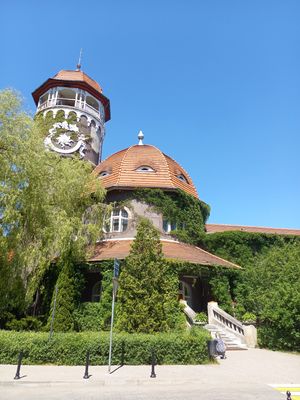 Янтарный - Светлогорск