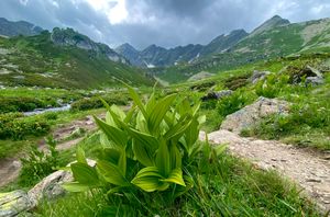 Чучхурский водопад