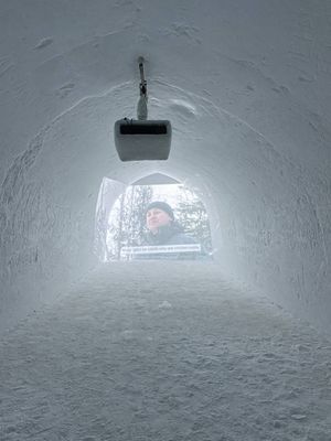 В поисках сияния: Мурманск - Кировск - Териберка - саамы