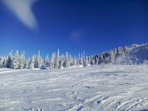 Катание в Шерегеше