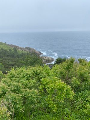 Дальневосточный Морской Заповедник. Гамова