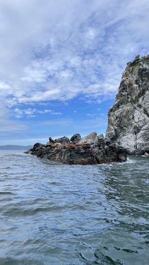 Остров Путятин, Лежбище Морских Львов