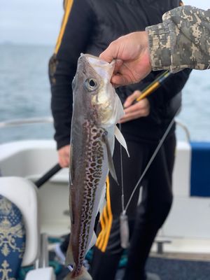 Джип-тур на Дачные источники. Экскурсия в Эйвет