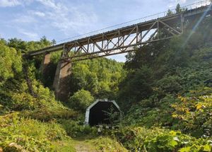 День с экскурсиями на выбор