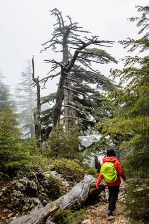 Трек-г у подножия Тахталыдаг (или Олимпос-Адрасан)