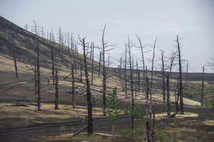 Кратер Звезда