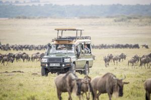 Maasai Mara Game Drive