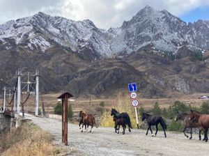 Навстречу приключениям