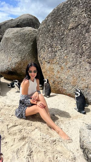 Пингвины и котики - Ваш любимый день