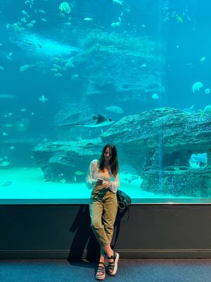 Ботанический сад, вертолёты и шопинг