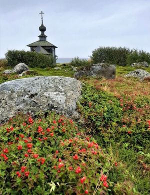 Морская прогулка на остров Максулма